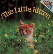 Cover of: The little kitten by Judy Dunn, Judy Dunn