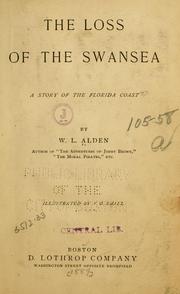 Cover of: loss of the Swansea: a story of the Florida coast.