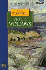 Cover of: Big Windows