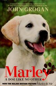 Cover of: Marley: a dog like no other