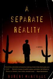 Cover of: A Separate Reality: A Novel