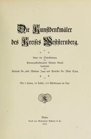 Cover of: Die Kunstdenkmäler der Provinz Brandenburg: Hrsg. vom Brandenburgischen Provincialverbande