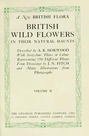 Cover of: A new British flora | Arthur Reginald Horwood