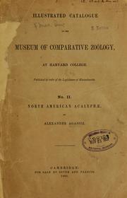 Cover of: North American Acalephae