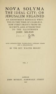 Cover of Nova Solyma, the ideal city