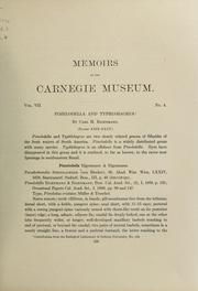 Pimelodella and Typhlobagrus