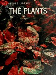 Cover of: The plants by F. W. Went