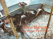 Cover of: Silver harvest: the Fundy weirmen's story