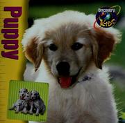 Cover of: Puppy by Discovery Kids, Sarah Ketchersid