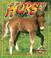 Cover of: What is a Horse? (The Science of Living Things)