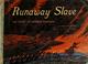 Cover of: Runaway slave