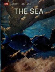 Cover of: The sea by Engel, Leonard
