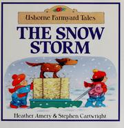 Cover of: The snow storm by Heather Amery