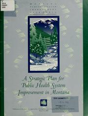 A strategic plan for public health system improvement in Montana