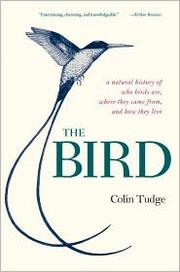 The Bird by Colin Hiram Tudge