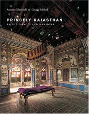 Cover of: Princely Rajasthan: Rajput Palaces and Mansions