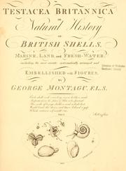 Cover of: Testacea Britannica, or, Natural history of British shells, marine, land, and fresh-water, including the most minute: systematically arranged and embellished with figures