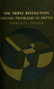 Cover of: The triple revolution: social problems in depth