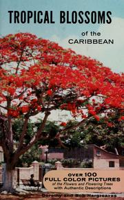 Cover of: Tropical blossoms of the Caribbean