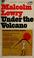 Cover of: Under the volcano