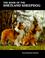 Cover of: The book of the Shetland sheepdog