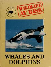 Cover of: Whales and dolphins.