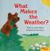 Cover of: What makes the weather?