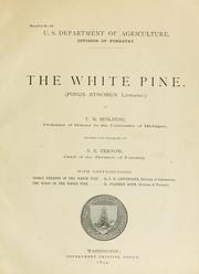 Cover of: The white pine by V. M. Spalding