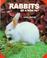 Cover of: Rabbits as a new pet