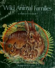 Cover of: Wild animal families by Margaret Davidson