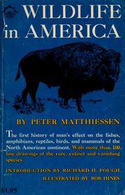 Cover of: Wildlife in America by Peter Matthiessen