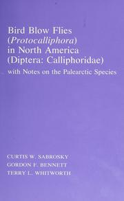 Cover of: Bird blow flies (Protocalliphora) in North America (Diptera:Calliphoridae), with notes on the Palearctic species by Sabrosky, Curtis W.