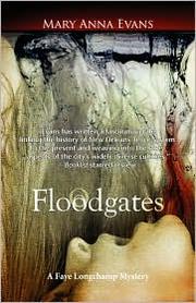 Cover of: Floodgates (Faye Longchamp)
