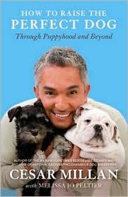 Cover of: How to Raise the Perfect Dog by 