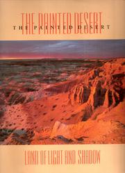 The Painted Desert by Rose Houk
