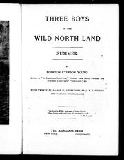Cover of: Three boys in the wild north land: summer