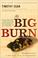 Cover of: The Big Burn