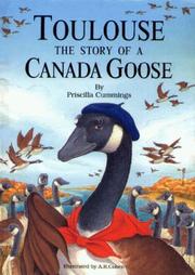 Cover of: Toulouse, the story of a Canada goose