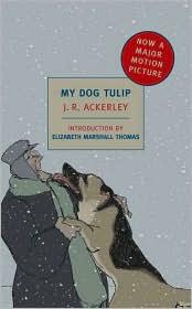 Cover of: My Dog Tulip by 