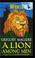 Cover of: A Lion Among Men