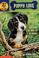 Cover of: Puppy Love (Puppy Patrol No. 16)