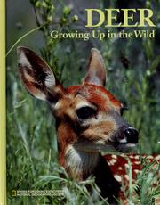 Cover of: Deer growing up in the wild by Judith E. Rinard