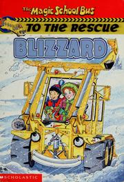 Cover of: Blizzard by Judith Bauer Stamper