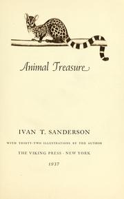 Cover of: Animal treasure