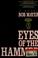 Cover of: Eyes of the hammer