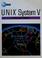 Cover of: Unix System V Streams Primer (Prentice-Hall C & UNIX Systems Library)