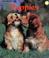 Cover of: Puppies