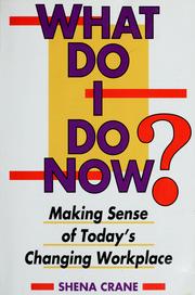 Cover of: What do I do now?: making sense of today's changing workplace