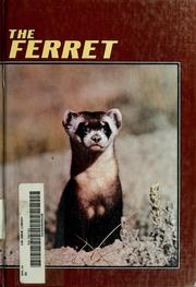 The ferret by Jane Duden