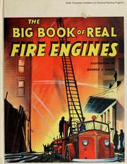 Cover of: The big book of real fire engines.